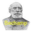 bechamp