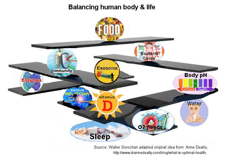 bodybalance