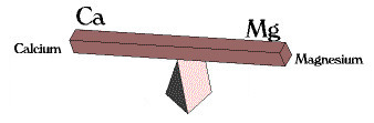ca-mg balance