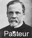 pasteur