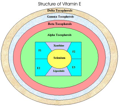 vitamin-E