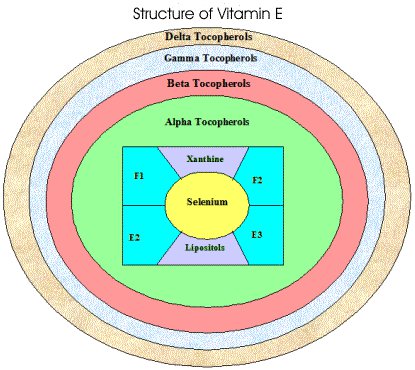 vitamin-E